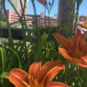 Meet your Posher, Lena